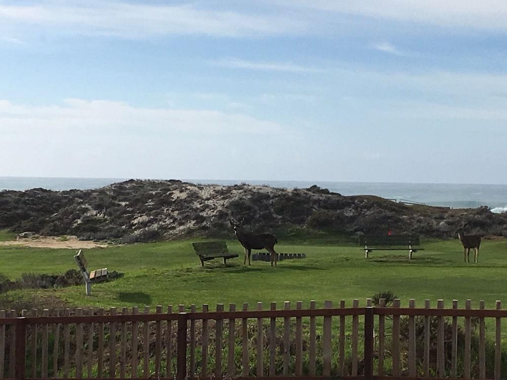 The Olympia Lodge Pacific Grove Luaran gambar